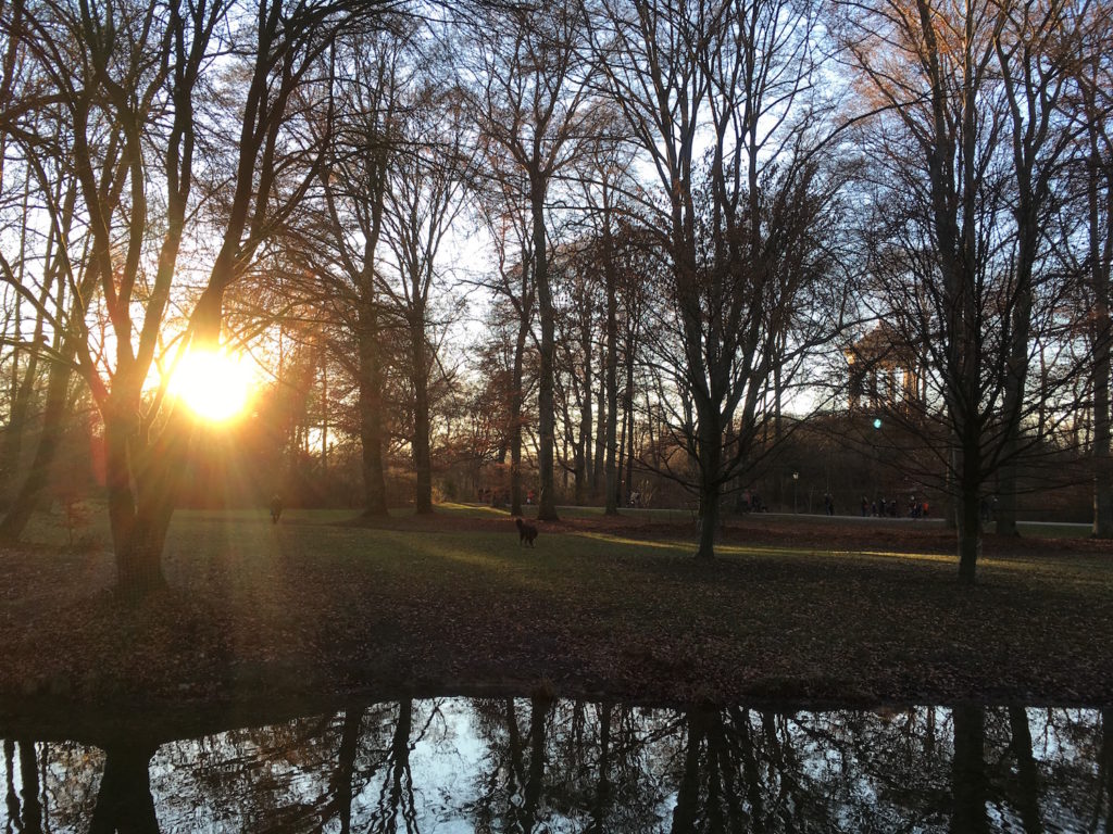 Sunset in the English Garden in Munich Germany
